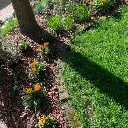 La Tua Casa Con Giardino A 2 Passi Dal Centro * Modena