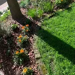 La Tua Casa Con Giardino A 2 Passi Dal Centro * Módena