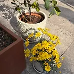 La Tua Casa Con Giardino A 2 Passi Dal Centro Сasa de vacaciones Módena