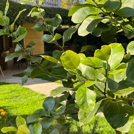 La Tua Casa Con Giardino A 2 Passi Dal Centro Módena
