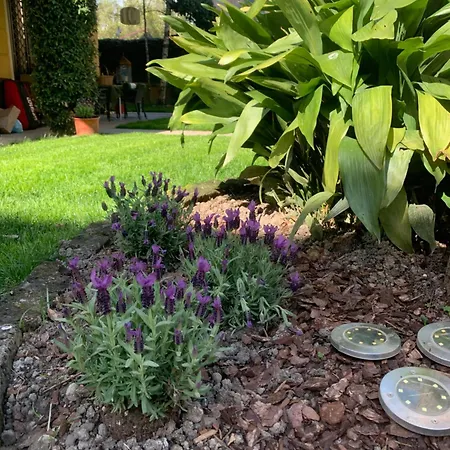 펜션 La Tua Casa Con Giardino A 2 Passi Dal Centro