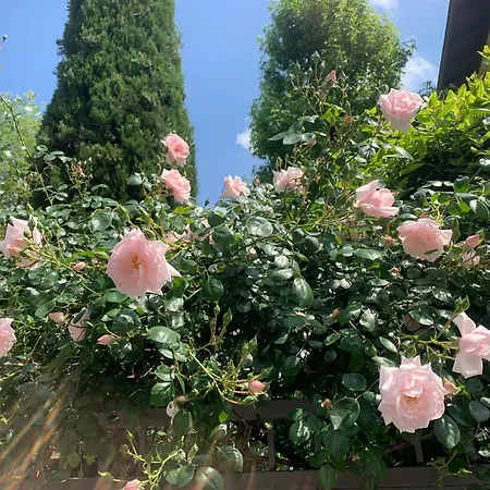 La Tua Casa Con Giardino A 2 Passi Dal Centro *