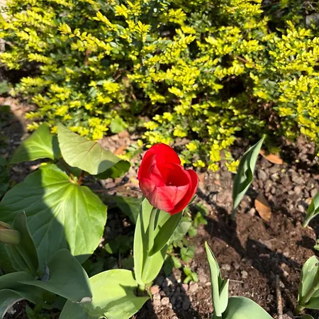 La Tua Casa Con Giardino A 2 Passi Dal Centro Ferienhaus *