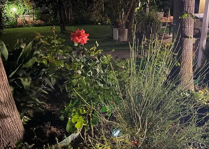 La Tua Casa Con Giardino A 2 Passi Dal Centro *
