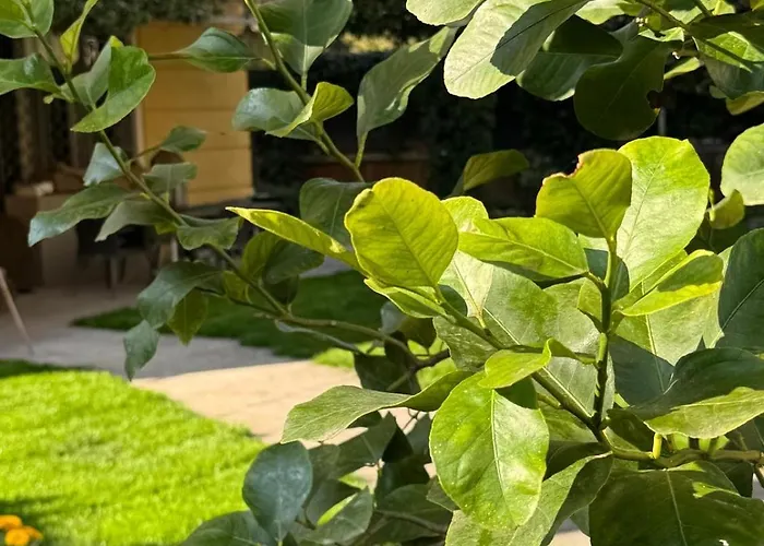 La Tua Casa Con Giardino A 2 Passi Dal Centro Modena