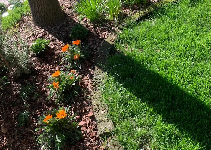 La Tua Casa Con Giardino A 2 Passi Dal Centro * Modena
