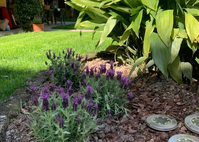 Dom wakacyjny La Tua Casa Con Giardino A 2 Passi Dal Centro
