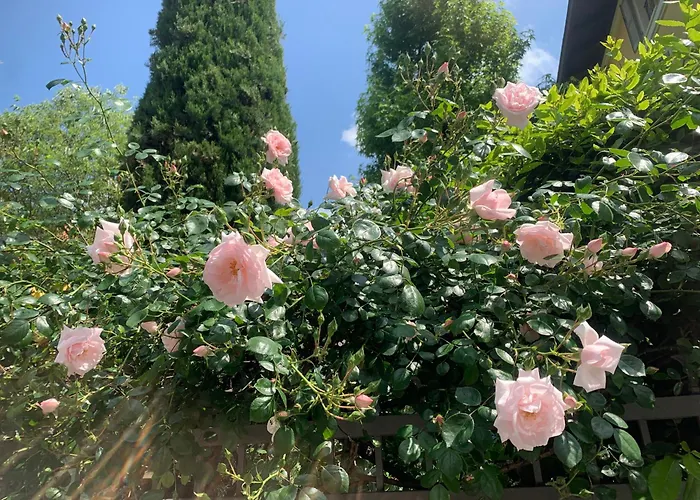 La Tua Casa Con Giardino A 2 Passi Dal Centro *