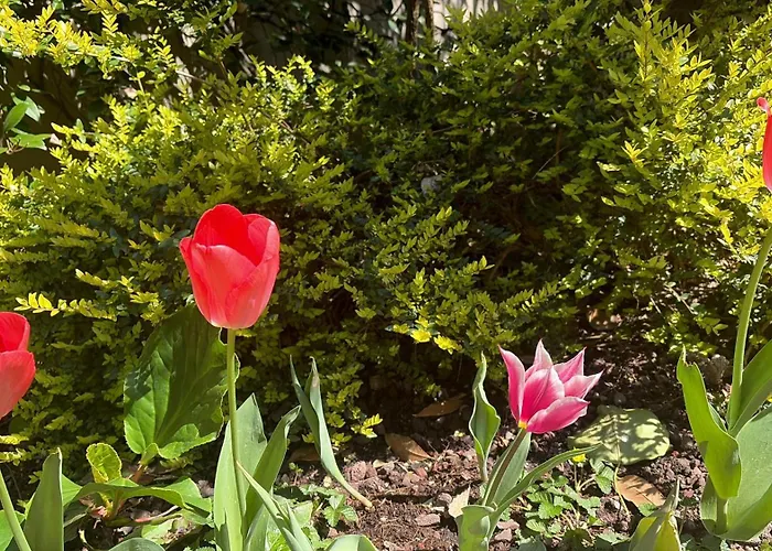 La Tua Casa Con Giardino A 2 Passi Dal Centro Feriehus