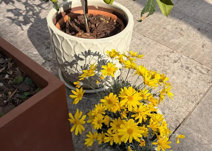 La Tua Casa Con Giardino A 2 Passi Dal Centro Dom wakacyjny Modena